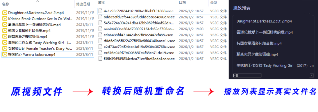 图片[2]初晨源码之家-源码-小程序-免费源码老司机隐私播放器SecureVault Player V0.8.9 - 初晨之家-网站源码-小程序源码-网页源码-游戏源码初晨源码之家-源码-小程序-免费源码初晨之家-网站源码-小程序源码-网页源码-游戏源码